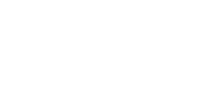 Copperleaf Logo White - Copperleaf Decision Analytics