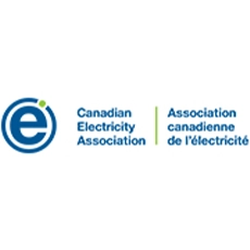 Affiliation Canadian Electricity Association - Copperleaf Decision Analytics