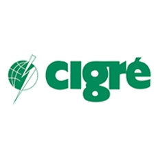 Affiliation CIGRE - Copperleaf Decision Analytics